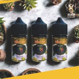 馬來西亞原裝 888系列小煙