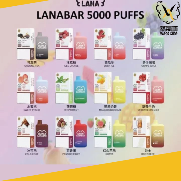 LANA BAR 一次性主機